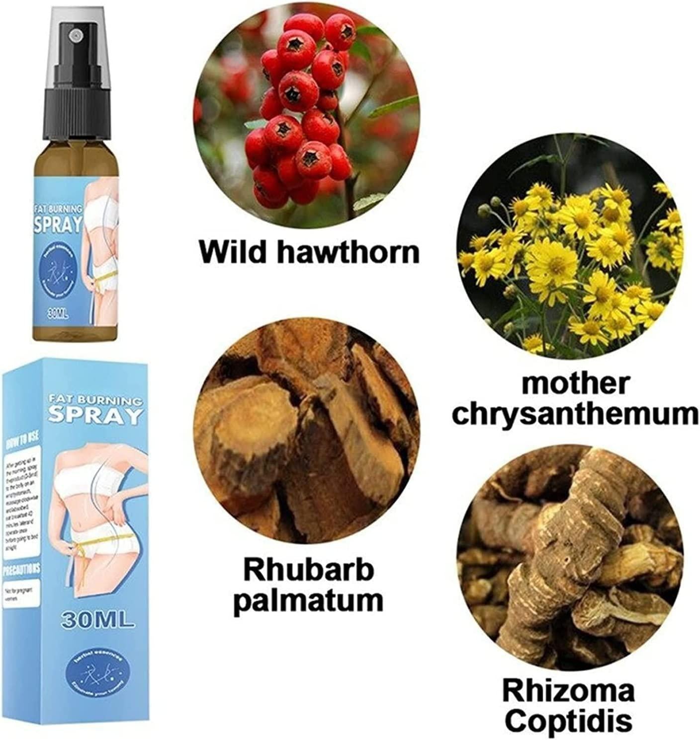 Fat Burner Slimming Spray 30 ml (Pack of 1) - NovaMart