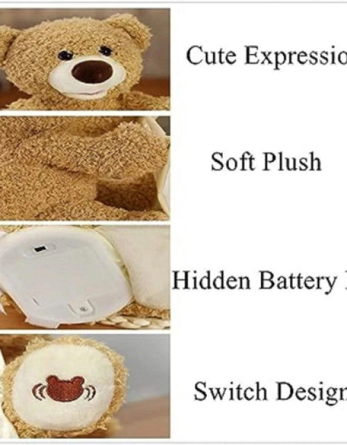 Peek A Boo Bear Animated with Voice Teddy - NovaMart