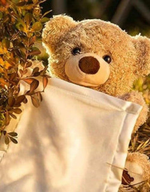 Peek A Boo Bear Animated with Voice Teddy - NovaMart