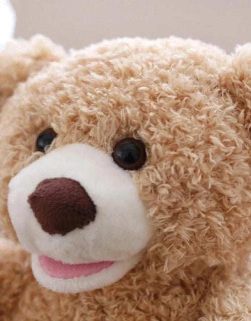 Peek A Boo Bear Animated with Voice Teddy - NovaMart